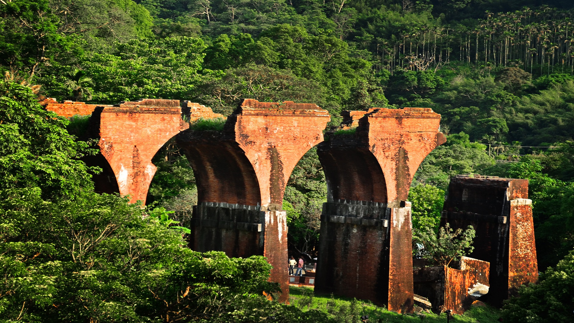 product-6d/5n-rotama-taiwan-tainan-&-old-mountain-rail-bike-banner