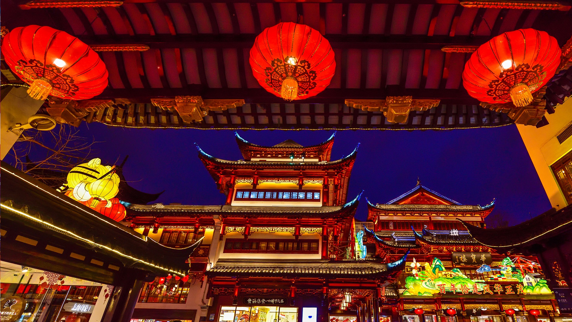 product-9d/7n-rotama-china-putuoshan-&-wangxian-valley-banner