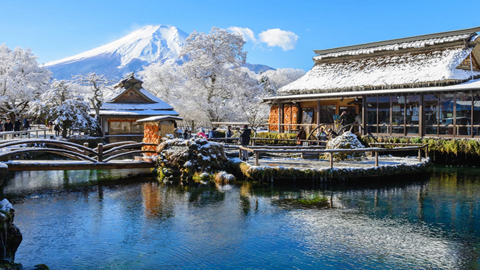 product-8d/6n-rotama-winter-japan-shirakawago-&-nara-deer-park-banner