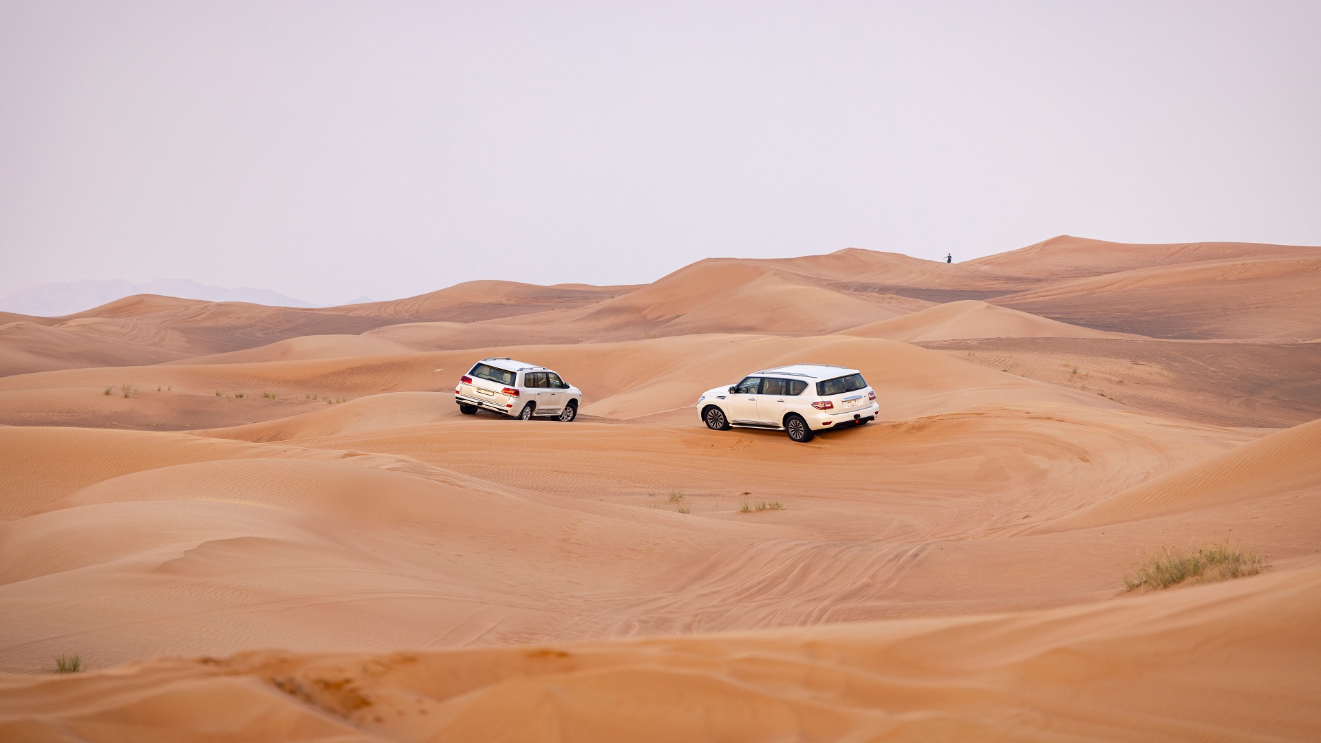 product-12/10n-rotama-winter-turkiye-,-bosphorus-cruise-&-dubai-desert-safari-banner