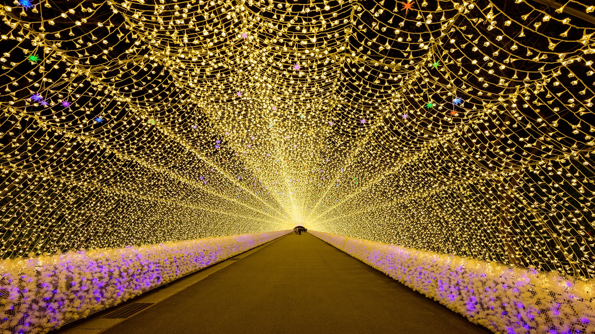 product-8d/7n-rotama-japan-classic,-tokyo-disneysea-&-winter-illumination-banner