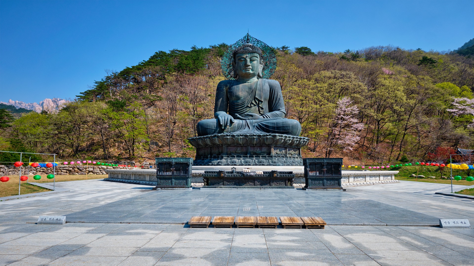 product-8d/6n-rotama-korea-nami-island-&-mt.-seorak-banner