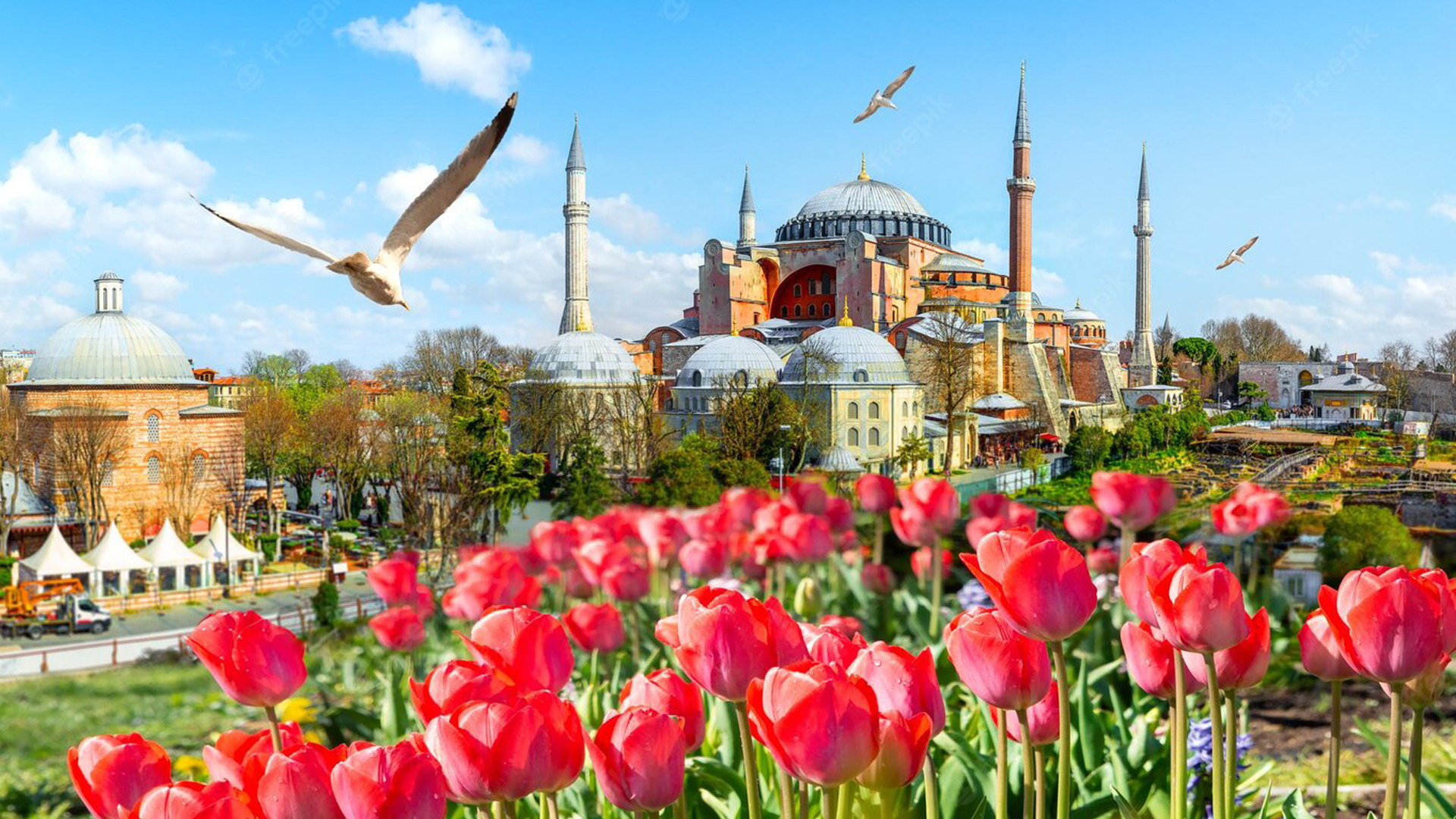 product-11d/9n-best-deal-amazing-tulip-festival-turkiye-banner