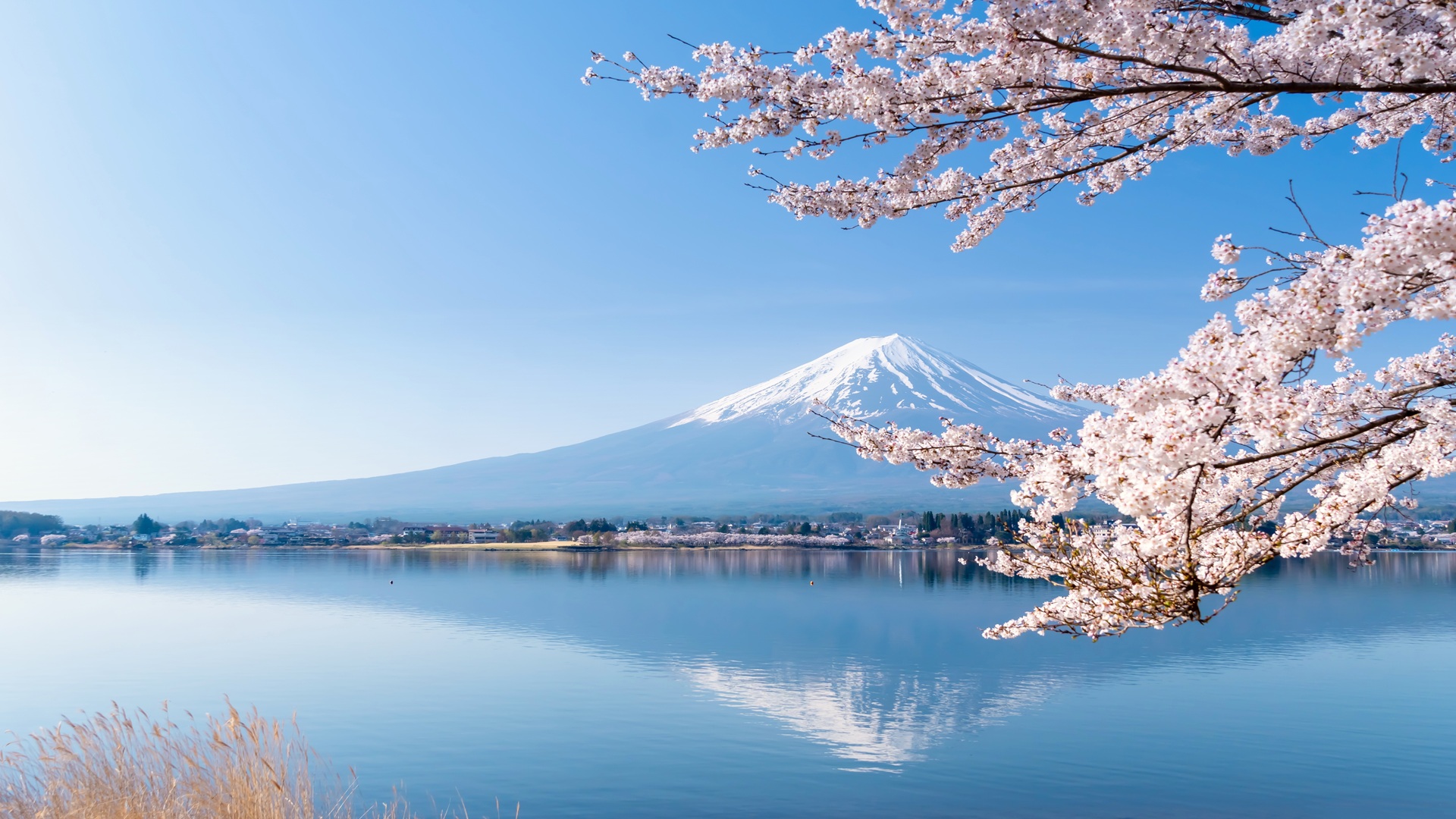 product-8d/5n-rotama-explore-japan-tokyo,-osaka-&-universal-studio-japan-banner