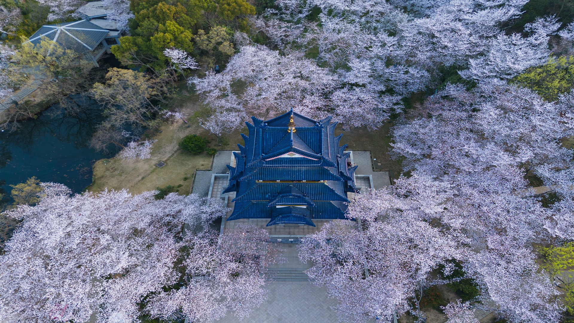 product-10d/9n-rotama-explore-china-&-wuxi-cherry-blossom-banner