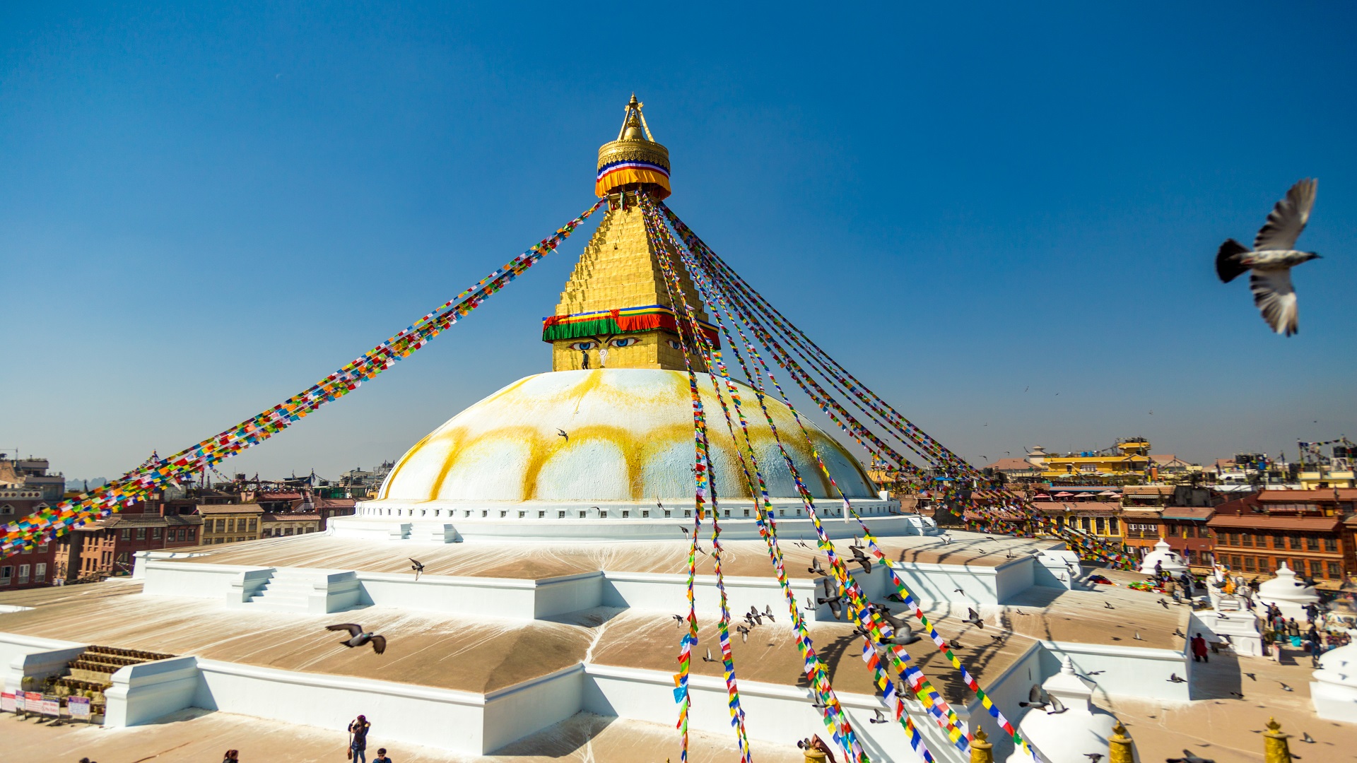 product-6d/5n-glimpse-of-nepal-banner