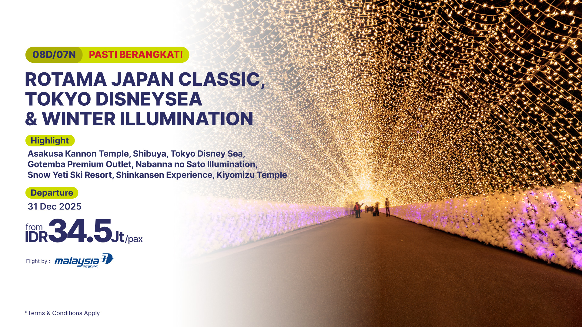 Rotama Japan Classic, Tokyo Disneysea & Winter Illumination-banner